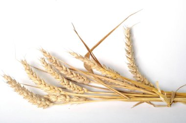 Beyaz arkaplanda buket