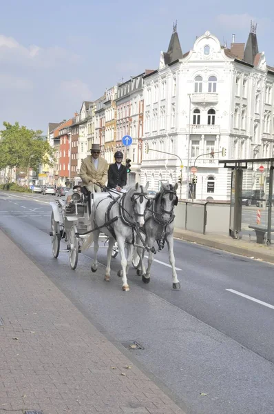 Hest Buggy Ride Aaren - Stock-foto