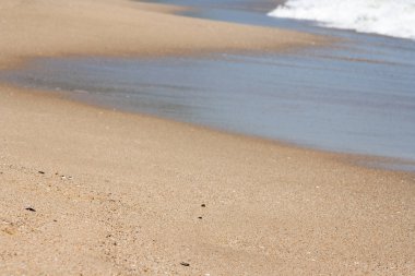 Islak kum plaja yakın