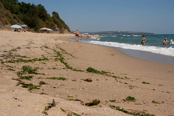 Playa soleada con algas lanzadas sobre la arena . — Foto de Stock