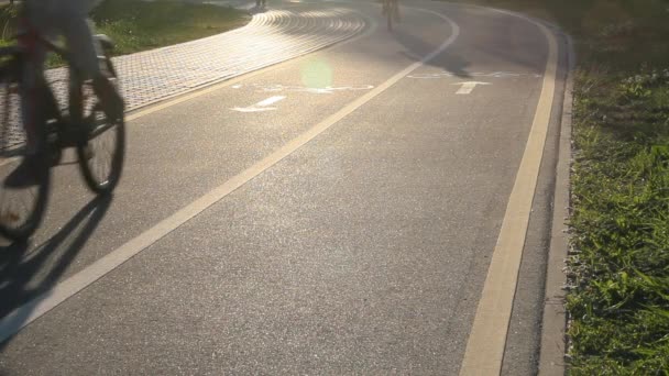 Cycle path with signs at sunset against the sun. — Stock Video