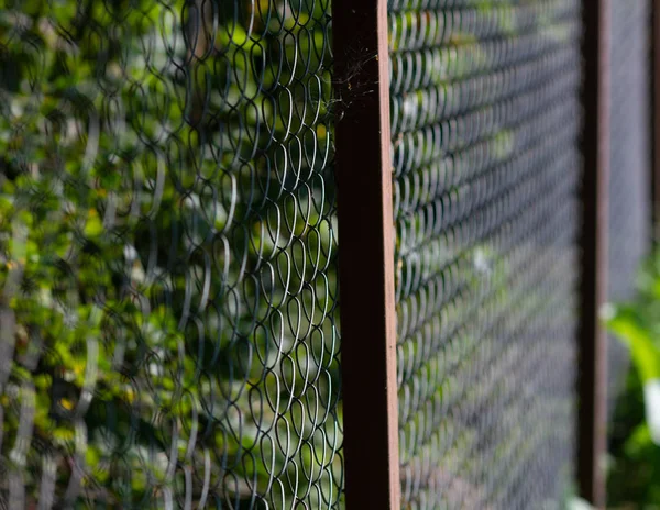 Mesh netting fence near in green garden