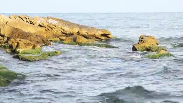 Primo piano di una spiaggia rocciosa di sera — Video Stock