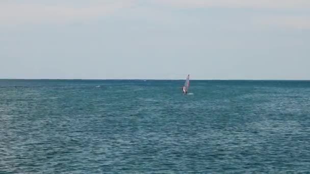 Windsurfer swims in the sea. — Stock Video