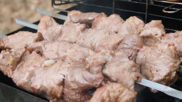 Gemengd Amerikaans barbecue eten op hete grill. — Stockvideo