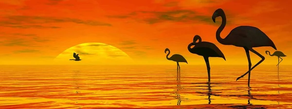 Güzel günbatımı tarafından barışçıl flamingolar-3D rendre — Stok fotoğraf