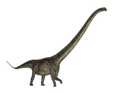 Mamenchisaurus dinosaur walk - 3D render clipart