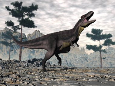 Korkunç giganotosaurus dinozor kükreyen kafası beyaz arka planda izole halde.