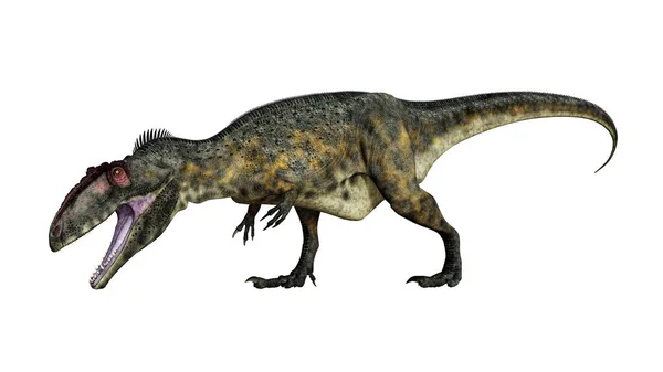 ギガノトサウルスストックベクター ロイヤリティフリーギガノトサウルスイラスト Depositphotos ギガノトサウルスストックベクター ロイヤリティフリーギガノトサウルスイラスト Depositphotos