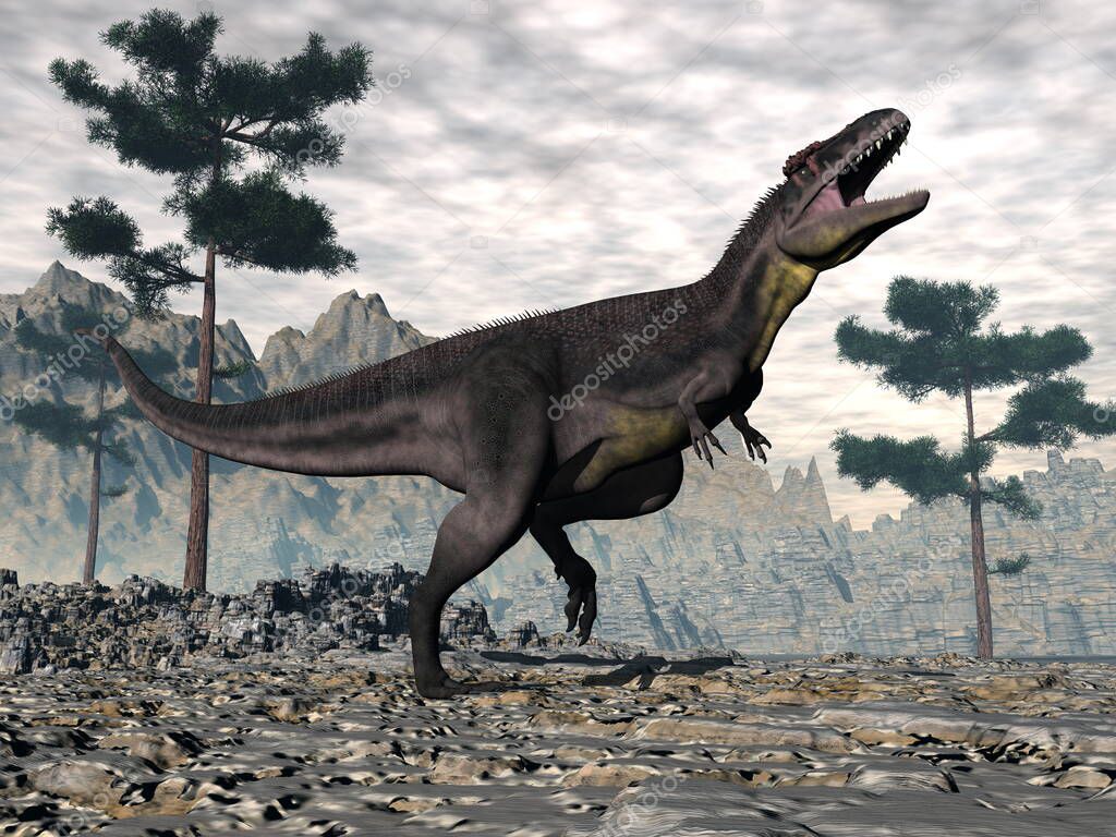 Terrifying giganotosaurus dinosaur roaring head down isolated in white background