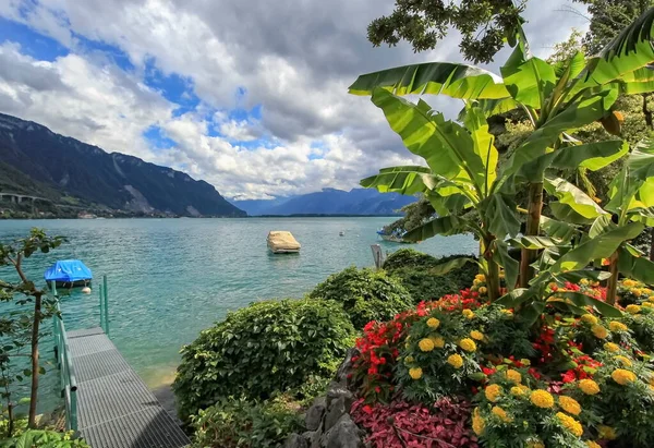 Flores coloridas da primavera no lago de Genebra e montanhas dos Alpes em — Fotografia de Stock