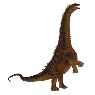 Alamosaurus dinozor kükreyen bacağı - 3 boyutlu görüntüleme
