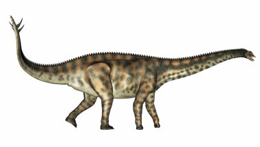 Spinophorosaurus dinazoru - 3D görüntüleme
