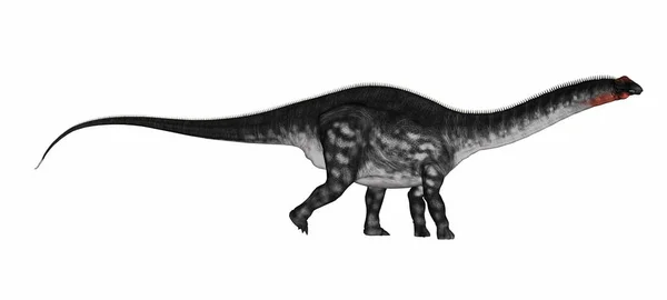 Apatosaurus dinosaurie - 3D rendering — Stockfoto