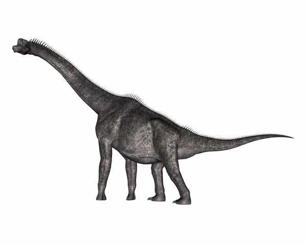 Brachiosaurus dinosaurie - 3D-återgivning — Stockfoto