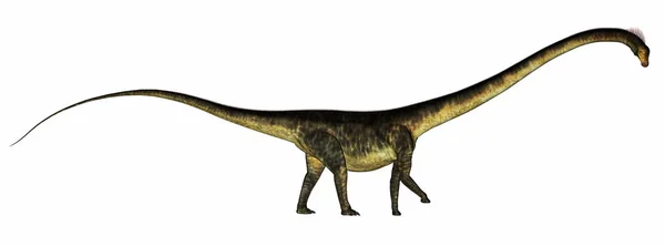 Dinozaur Barosaurus - redare 3D — Fotografie, imagine de stoc