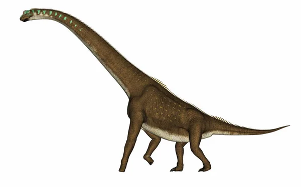 Giraffatitan dinozaur - renderowanie 3D — Zdjęcie stockowe