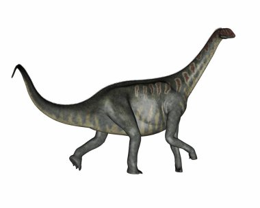 Jobaria dinozoru- 3B görüntüleme