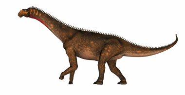 Mierasaurus dinozoru - 3D görüntüleme