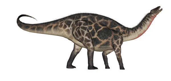 Dicraeosaurus dinozoru - 3D görüntüleme — Stok fotoğraf