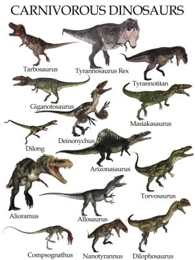 Etçil dinozorlar seti - 3D görüntüleme