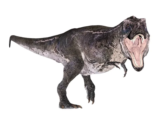 Tiranossauro rex dinossauro rugindo - renderização 3D — Fotografia de Stock