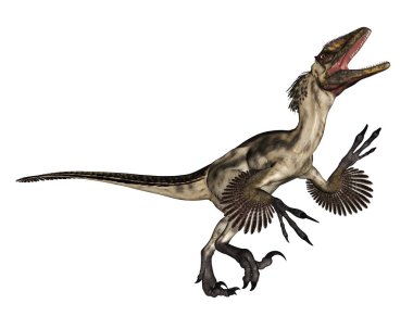 Deinonychus dinozor kükremesi - 3 boyutlu görüntüleme