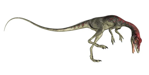 Ryczący dinozaur Compsognathus - renderowanie 3D — Zdjęcie stockowe