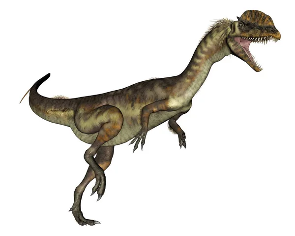 Dilophosaurus dinosaure rugissant - rendu 3D — Photo