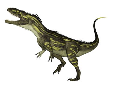Torvosaurus dinozor kükremesi - 3 boyutlu görüntüleme