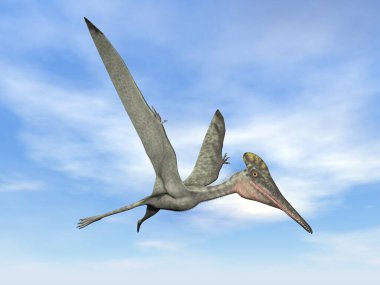 Pterodactylus tarih öncesi kuş uçuşu - 3D görüntüleme