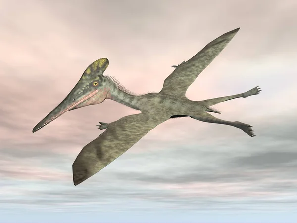 Птеродактиль - полет доисторической птицы - 3D-рендеринг — стоковое фото