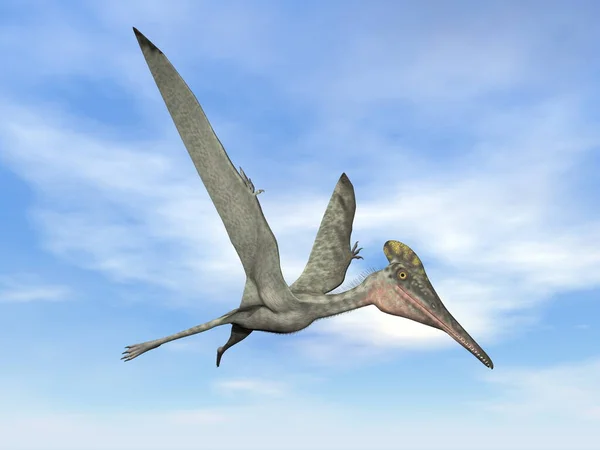 Pterodactylus tarih öncesi kuş uçuşu - 3D görüntüleme — Stok fotoğraf