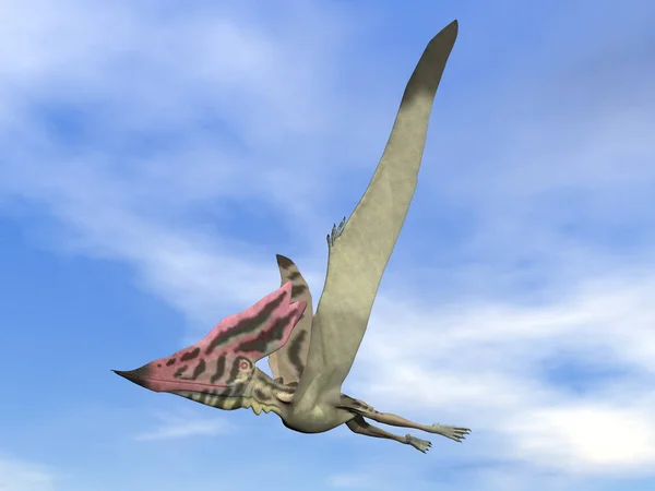 Thalassodromeus pássaro pré-histórico voando - renderização 3D — Fotografia de Stock