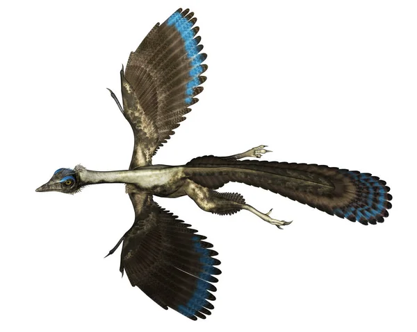 Archopteryx鳥恐竜の飛行- 3Dレンダリング — ストック写真
