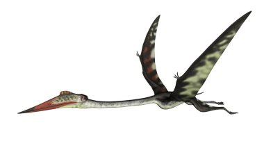 Quetzalcoatlus önümüzde barışçıl bir şekilde uçuyor.