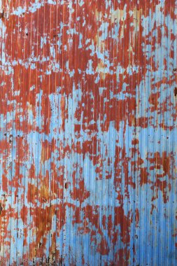 Yaşlı korrugate metal boyalı kapı