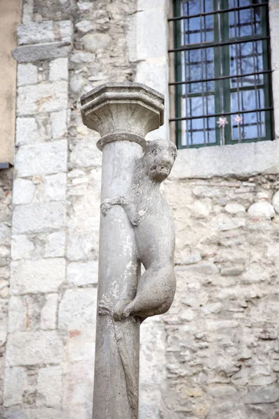 Monument av lejoninna, symbol för staden Girona, Katalonien, Spanien — Stockfoto