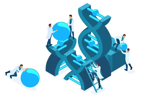 Ingeniería genética isométrica, estructura del ADN — Vector de stock