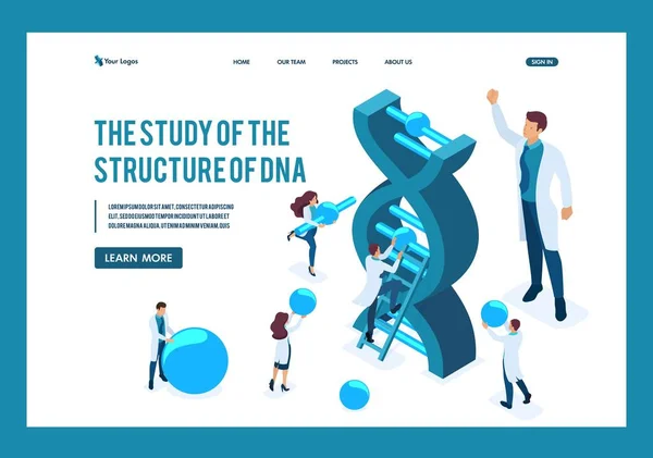 Οι επιστήμονες ερευνούν το DNA. — Διανυσματικό Αρχείο