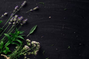 Siyah okul sırası tepe üzerinde Fransız otlar görüntülemek