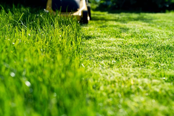 Lawn mower on the grass — Stock Photo, Image