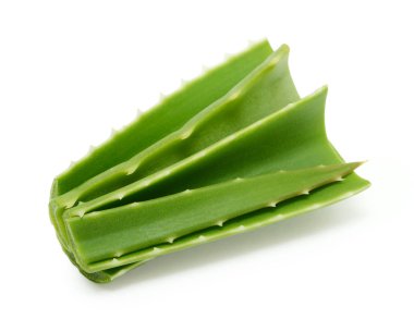 Aloe Vera beyaz arkaplanda izole bir şekilde bırakır