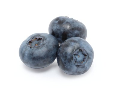 beyaz arkaplanda yaban mersini izole