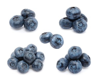 Yaban mersini seti beyaz arka plan üzerinde izole