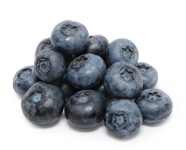 beyaz arkaplanda yaban mersini izole