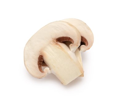 Şampiyon Mantarı beyaz arkaplanda izole edildi