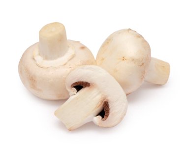 Şampiyon Mantarı beyaz arkaplanda izole edildi