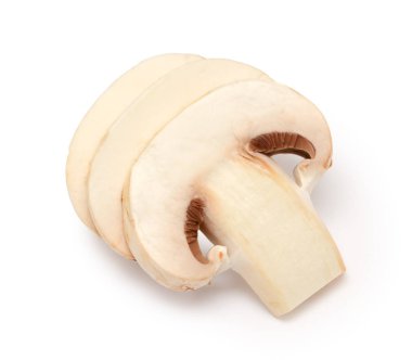 Şampiyon Mantarı beyaz arkaplanda izole edildi