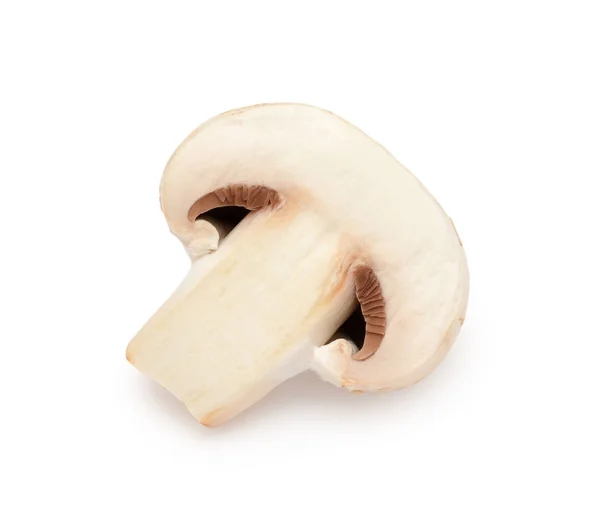 Шампиньон гриб изолирован на белом фоне — стоковое фото
